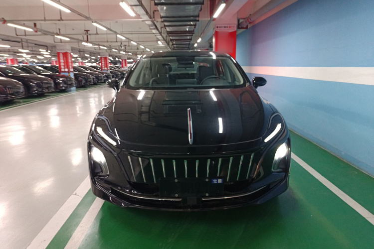 红旗E-QM5 2022款 431km 充电乐享版车身外观6001