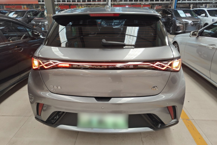 比亚迪 海豚 2023款 420km 时尚版车身外观6