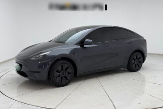 特斯拉 Model Y 2024款 后轮驱动版