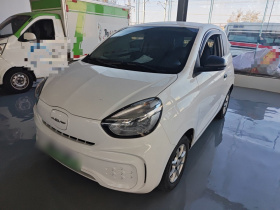 荣威 科莱威CLEVER 2022款 311km元气啵啵版