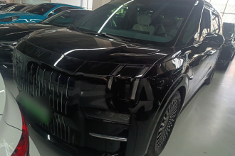 极氪009 2022款 WE版