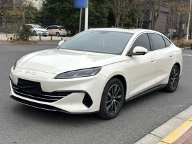 比亚迪 海豹06新能源 2024款 DM-i 120KM尊荣型