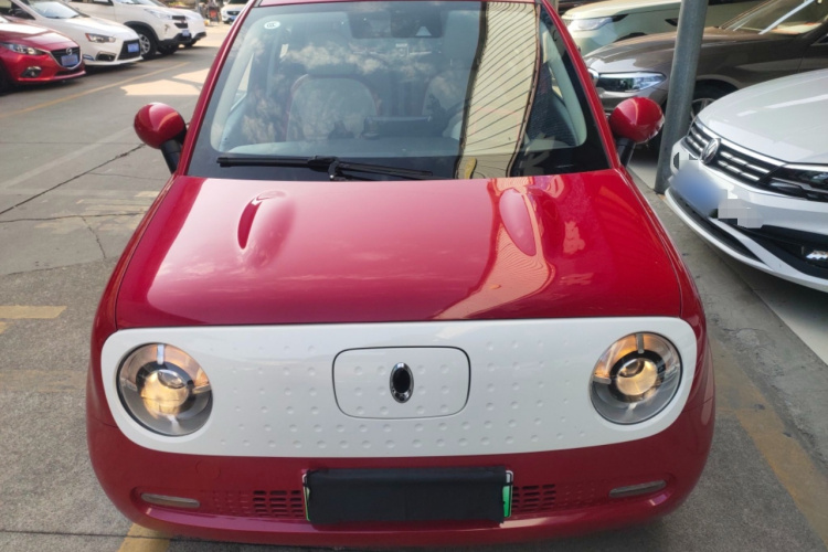 欧拉黑猫 2019款 351km 女神版车身外观2