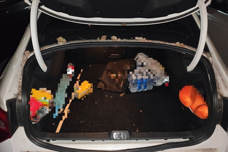 雪铁龙C5 2014款 1.6T 自动尊享型局部细节23