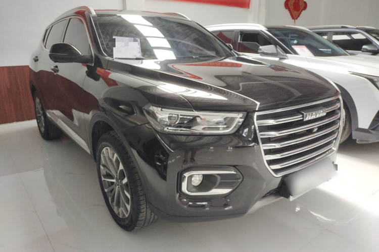 哈弗H6 2020款 1.5GDIT 自动铂金冠军版车身外观6002