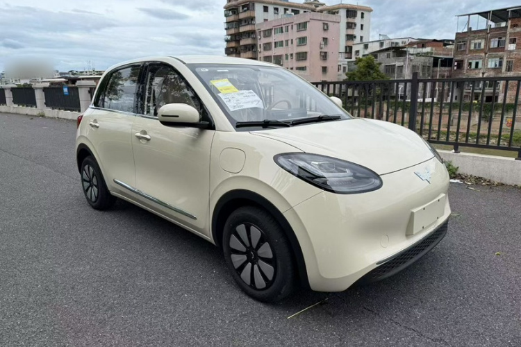 五菱汽车 五菱缤果 2025款 333km 悦享款车身外观6007