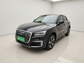 奥迪Q2L e-tron 2019款 Q2L e-tron 纯电智享型