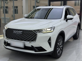 哈弗H6 2024款 1.5T 两驱经典版