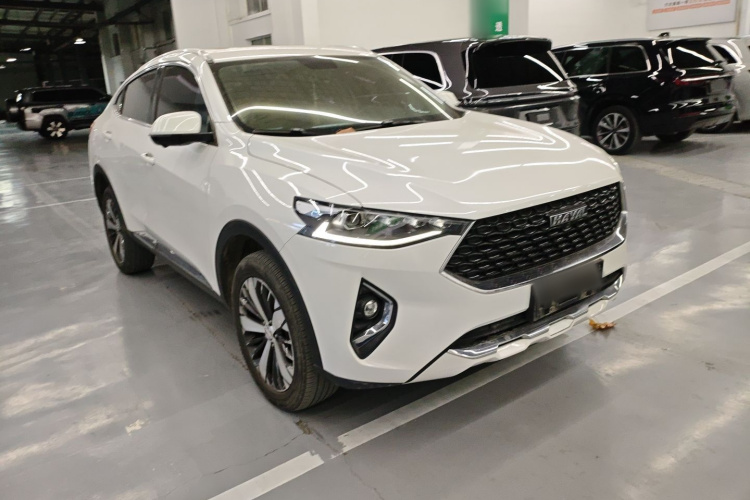 哈弗F7x 2019款 1.5T 两驱极智潮玩版车身外观6002