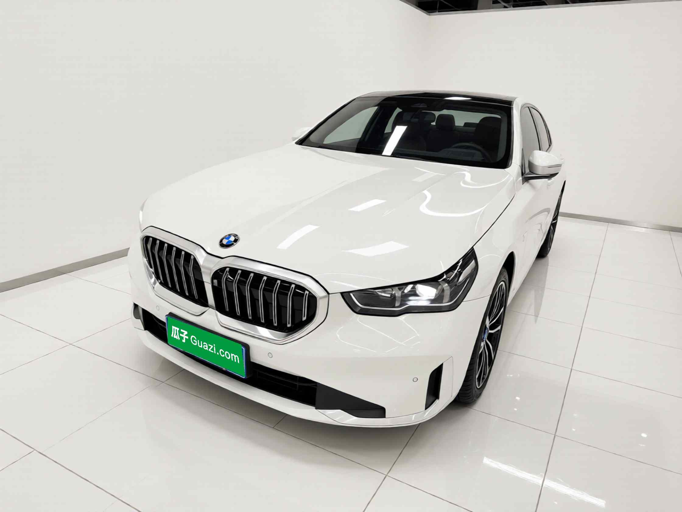 宝马5系 2024款 530Li 领先型 豪华套装(2)
