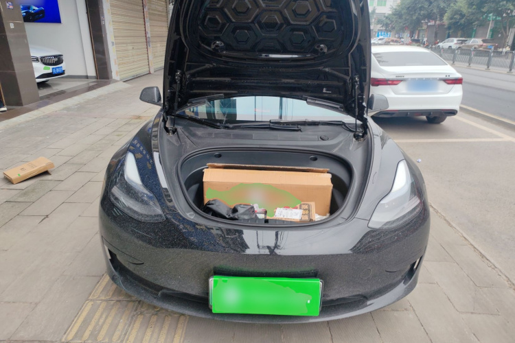 特斯拉 Model 3 2021款 标准续航后驱升级版 3D6局部细节24