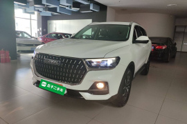 哈弗H6 2023款 国潮版 1.5T 自动都市版