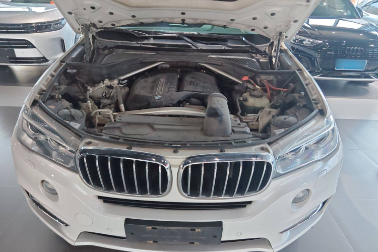 宝马X5(进口) 2017款 xDrive35i 典雅型局部细节24