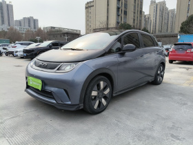 比亚迪 海豚 2023款 401km 骑士版