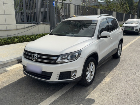 大众 途观 2016款 280TSI 自动两驱丝绸之路风尚版