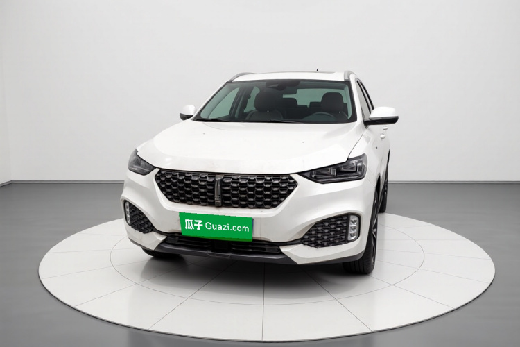 魏牌 VV6 2020款 2.0T 两驱智享+车身外观2