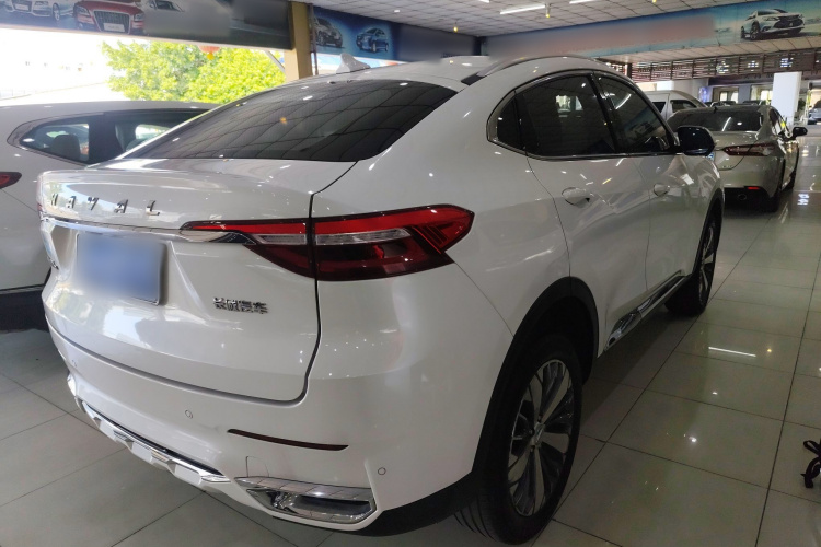 哈弗F7x 2019款 1.5T 两驱极智潮玩版车身外观7