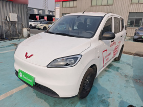 五菱汽车 五菱宏光新能源 2024款 纯电版 300KM 标准型