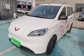 五菱汽车 五菱宏光新能源 2024款 纯电版 300KM 标准型