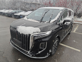 红旗HQ9 PHEV 2024款 2.0T 四驱商务版