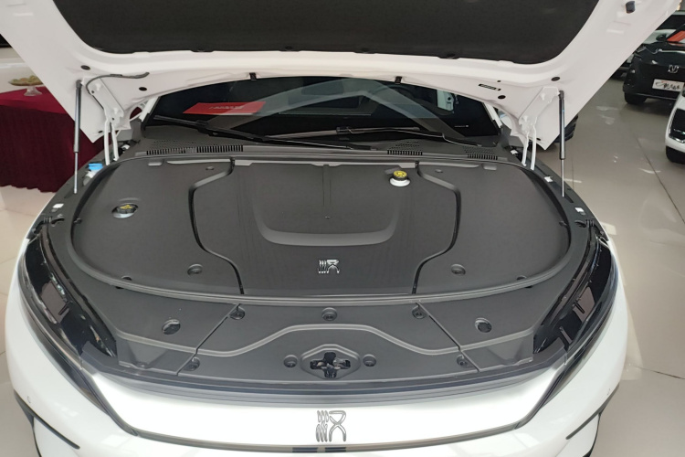 比亚迪 汉 2022款 EV 创世版 610KM四驱尊享型局部细节24