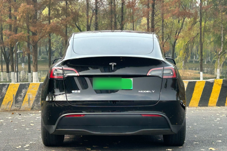特斯拉 Model Y 2022款 后轮驱动版车身外观6005