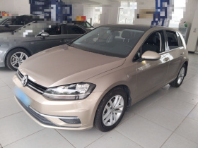 大众 高尔夫 2019款 280TSI DSG舒适型 国V