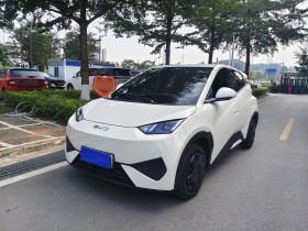 比亚迪 海鸥 2025款 智驾版 305km 活力版