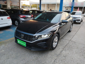 大众 帕萨特 2023款 280TSI 商务版