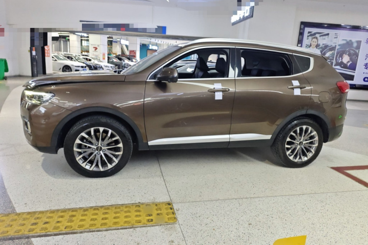 哈弗H6 2020款 1.5GDIT 自动铂金冠军版车身外观6002