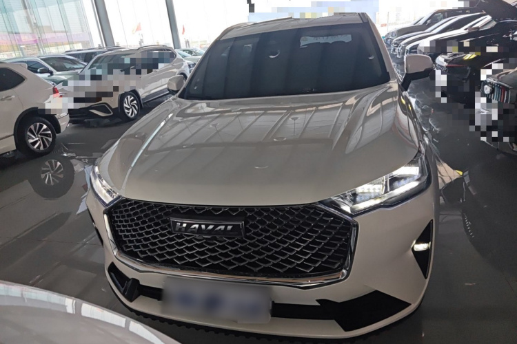 哈弗H6 2024款 1.5T 两驱经典版车身外观2