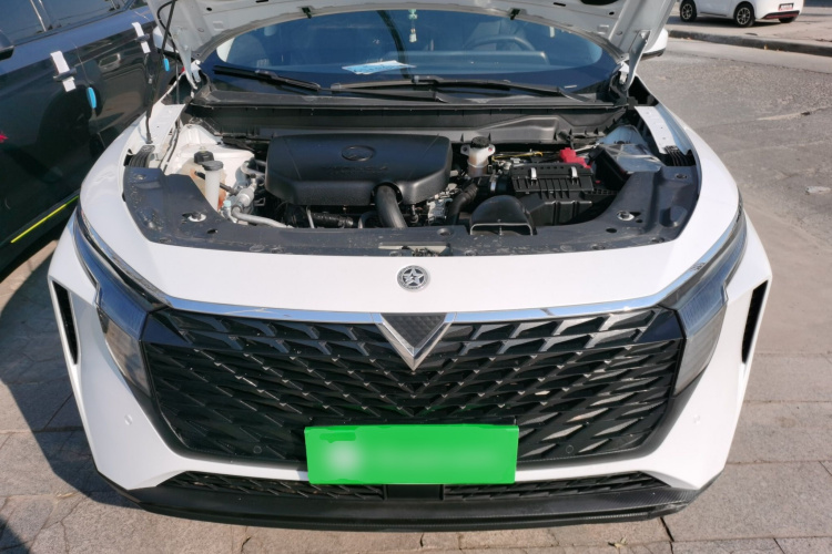 启辰大V 2021款 260T 天王版机舱底盘24