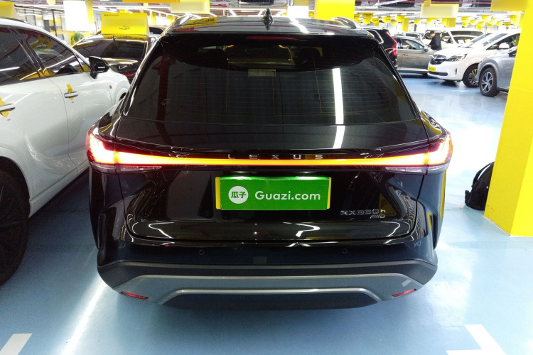 雷克萨斯RX 2023款 350h 四驱醇享版车身外观6004