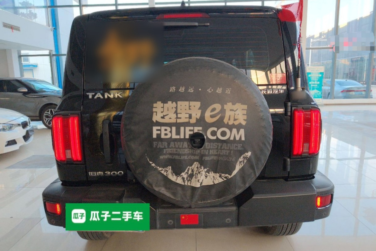 坦克300 2021款 越野版 2.0T 挑战者车身外观6