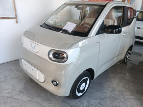 五菱汽车 宏光MINIEV 2024款 第三代 215km 青春版