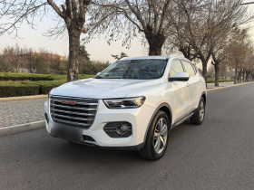 哈弗H6 2017款 红标 1.3T 自动两驱智尚型