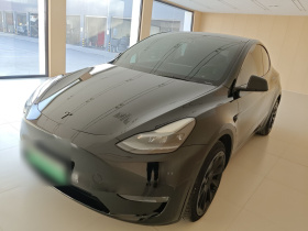 特斯拉 Model Y 2021款 标准续航后驱版