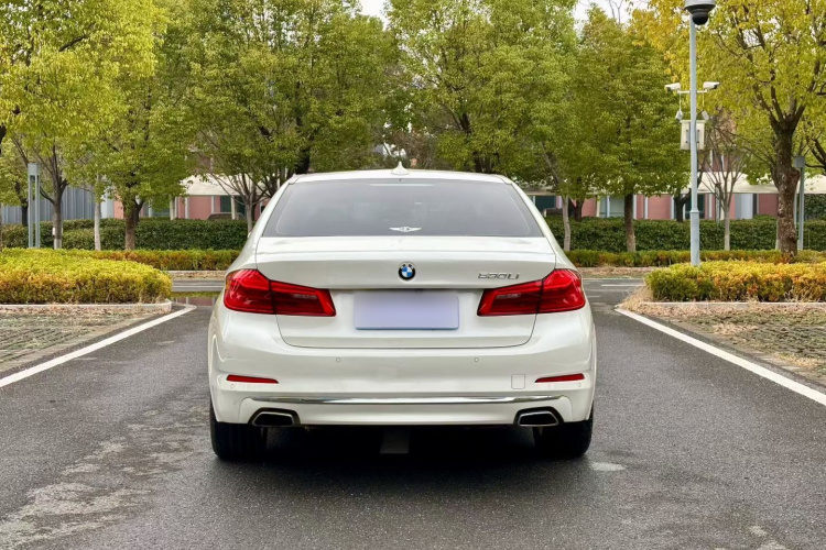 宝马5系 2019款 530Li 领先型 豪华套装车身外观6005