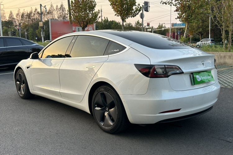特斯拉 Model 3(进口) 2019款 长续航后驱版车身外观6009