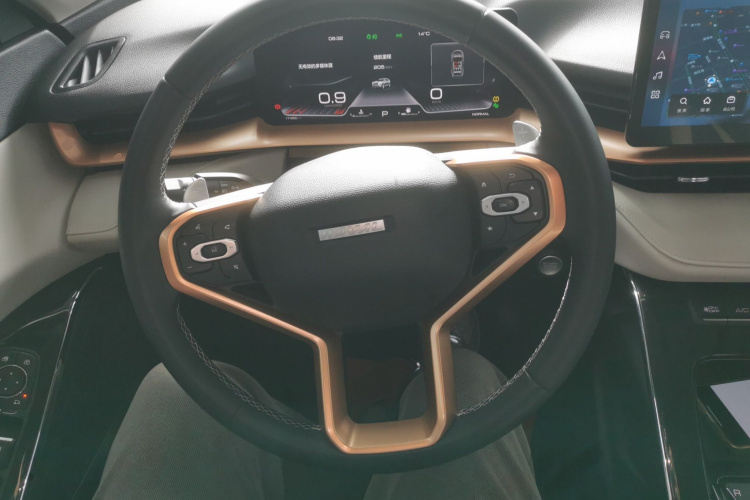 哈弗H6 2021款 第三代 1.5T 自动两驱Supreme局部细节13