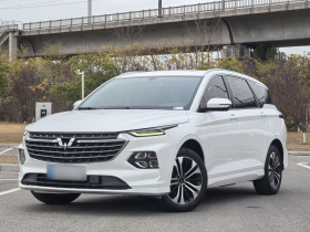 五菱汽车 五菱凯捷 2020款 1.5T CVT旗舰型