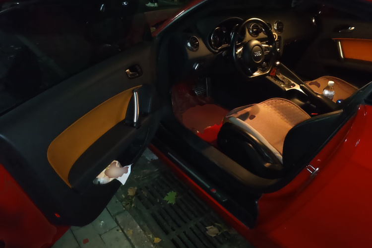 奥迪TT 2010款 TT 2.0TFSI典藏版中控内饰20