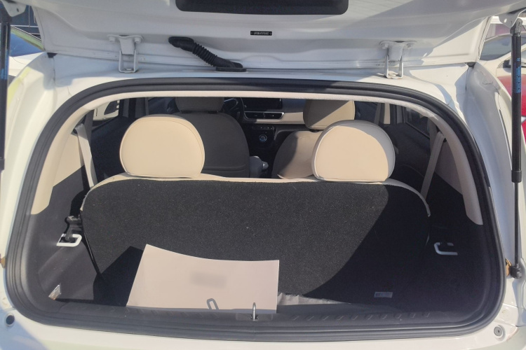 欧拉白猫 2022款 升级版 305km 豪华型 三元锂局部细节23