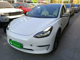 特斯拉 Model 3 2022款 Performance高性能全轮驱动版