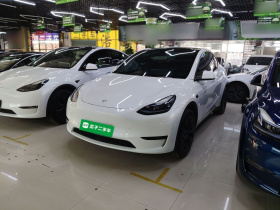 特斯拉 Model Y 2024款 后轮驱动版