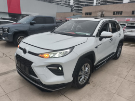 丰田 威兰达 2021款 2.0L CVT四驱豪华版