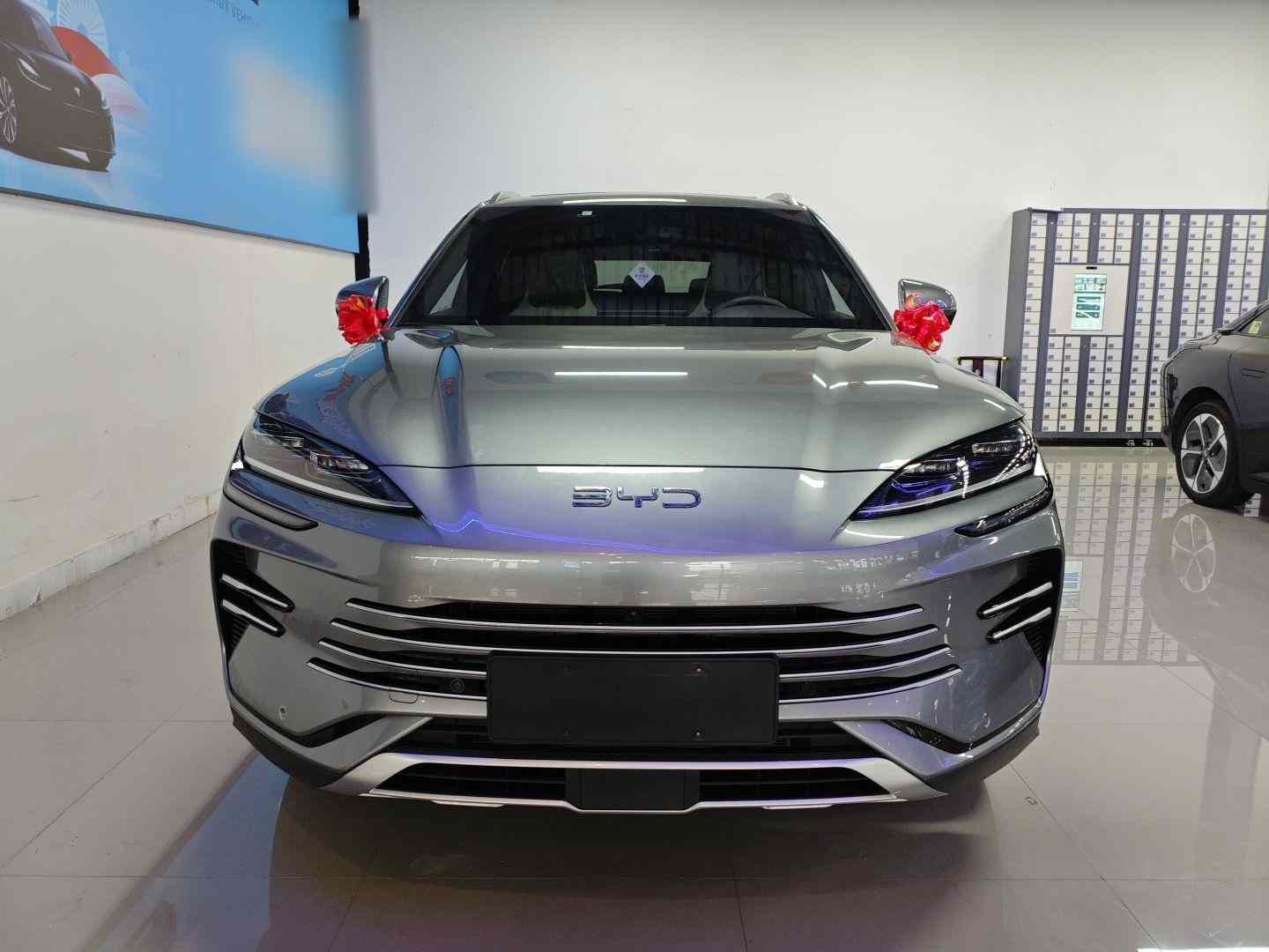 比亚迪 宋PLUS新能源 2025款 DM-i 112KM 尊贵型(1)