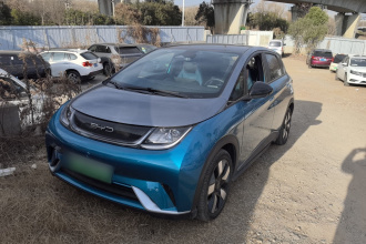 比亚迪 海豚 2021款 401km 骑士版