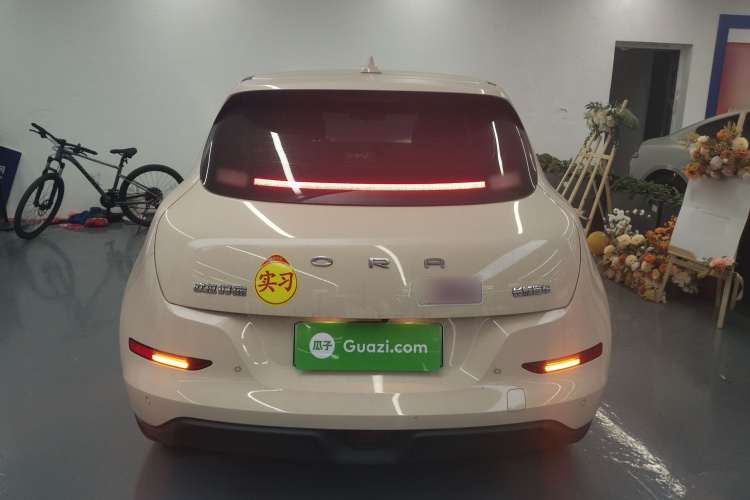 欧拉好猫 2023款 501km长续航 豪华型 三元锂车身外观6