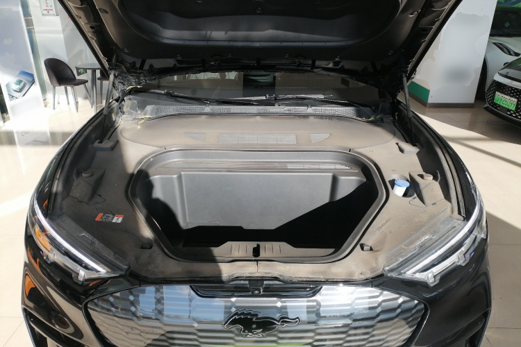 福特电马 2021款 跃世后驱版(标准续航)机舱底盘24